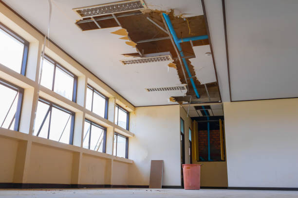 Best Ceiling water damage repair  in New Miami, OH