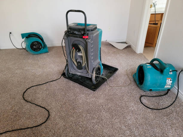Best Carpet water damage restoration  in New Miami, OH