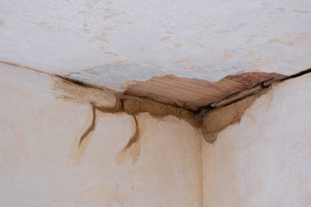 Reliable OH Water damage restoration Solutions