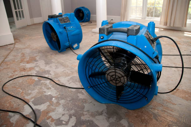 Local water damage restoration in OH