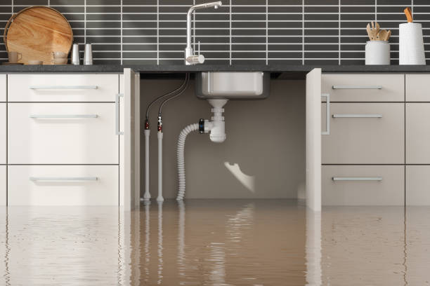 Best Water damage contractors near me  in New Miami, OH