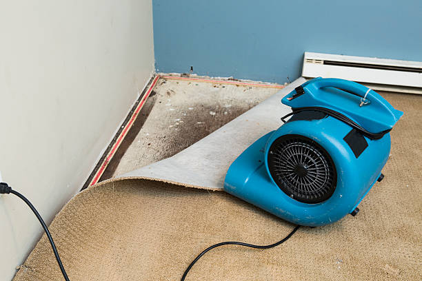 Best Sewage cleanup and water damage restoration  in New Miami, OH